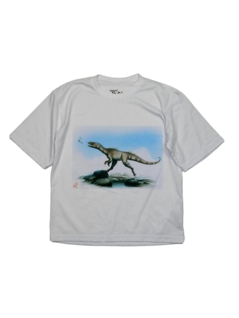 Hibátlan Egyéb márka Dinós póló (134-140)